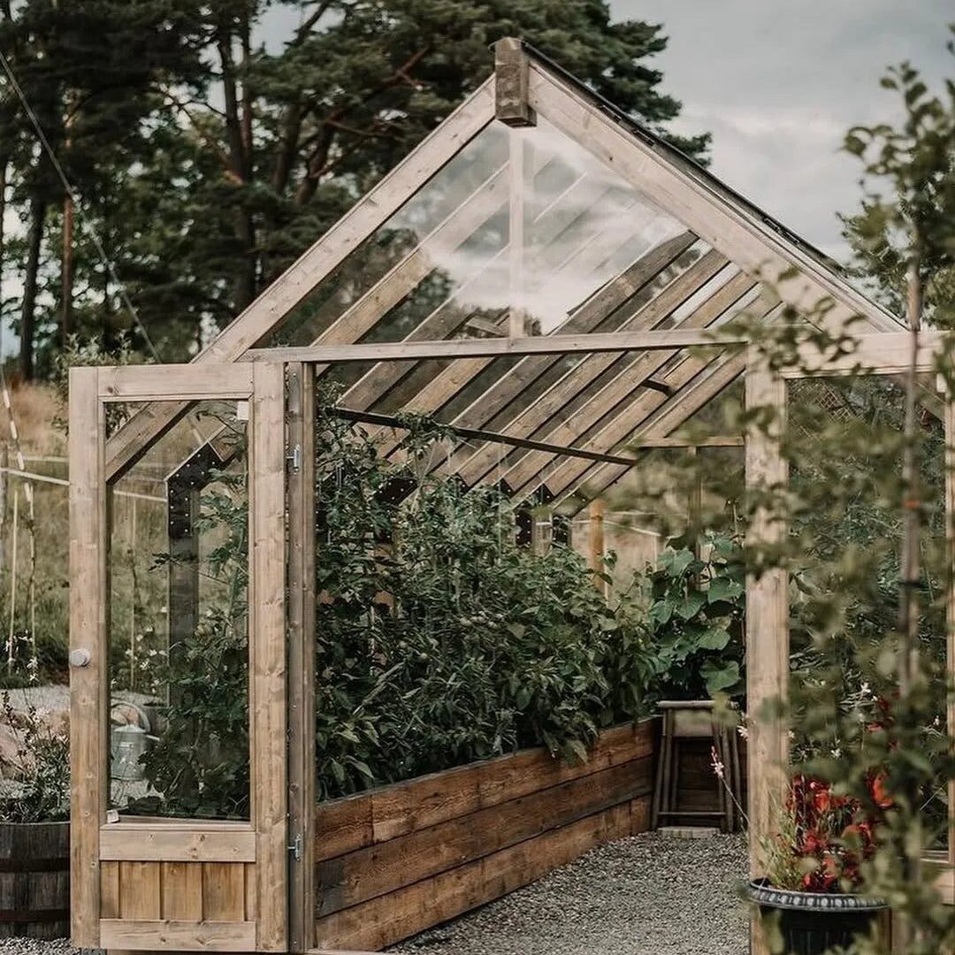 Timber greenhouse doorway with raised beds and shelving